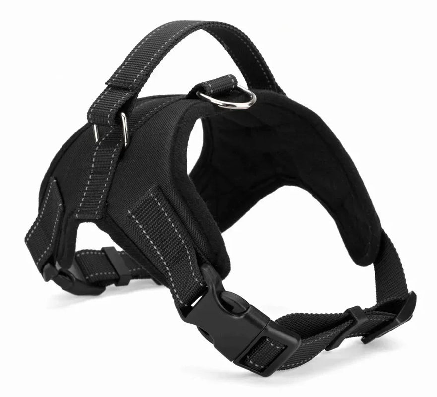 Takara™ ComfortFit Dog Harness