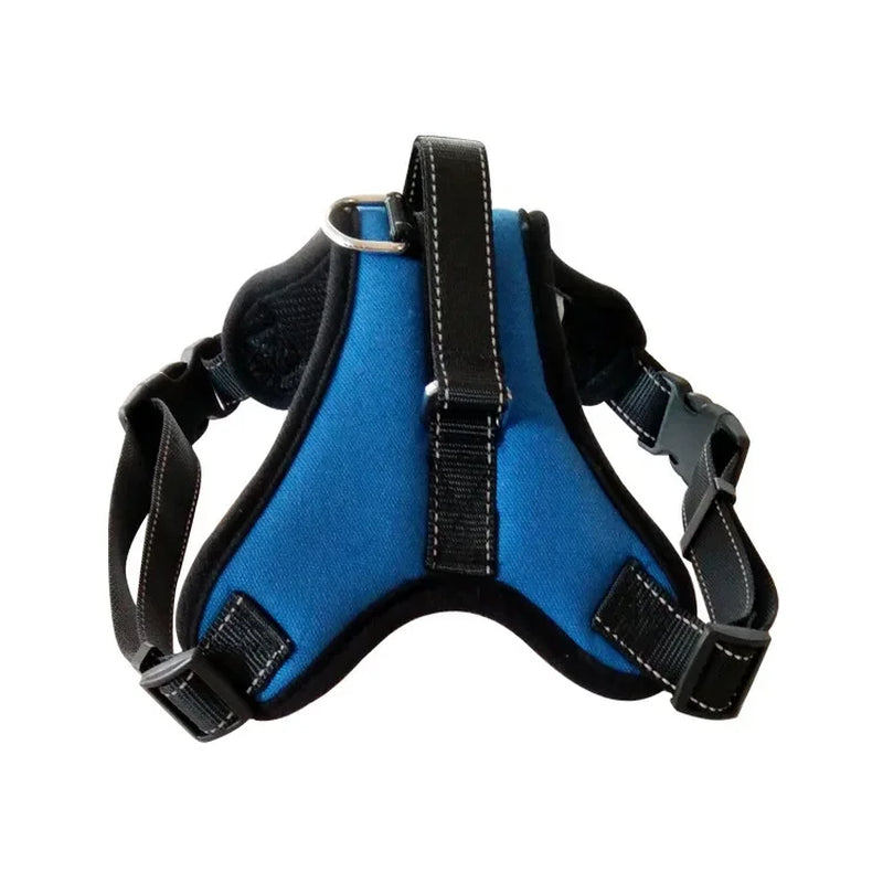 Takara™ ComfortFit Dog Harness
