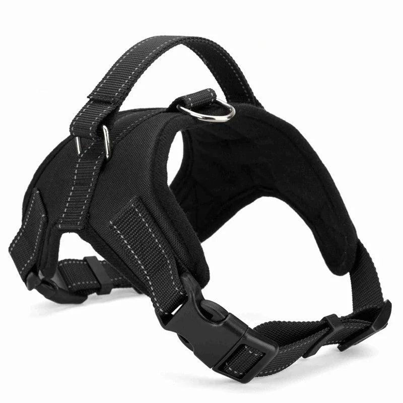 Takara™ ComfortFit Dog Harness