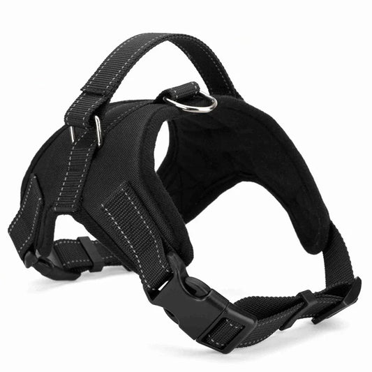 Takara™ ComfortFit Dog Harness