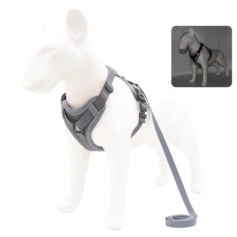 Takara™ ComfortWalk Harness & Leash Set