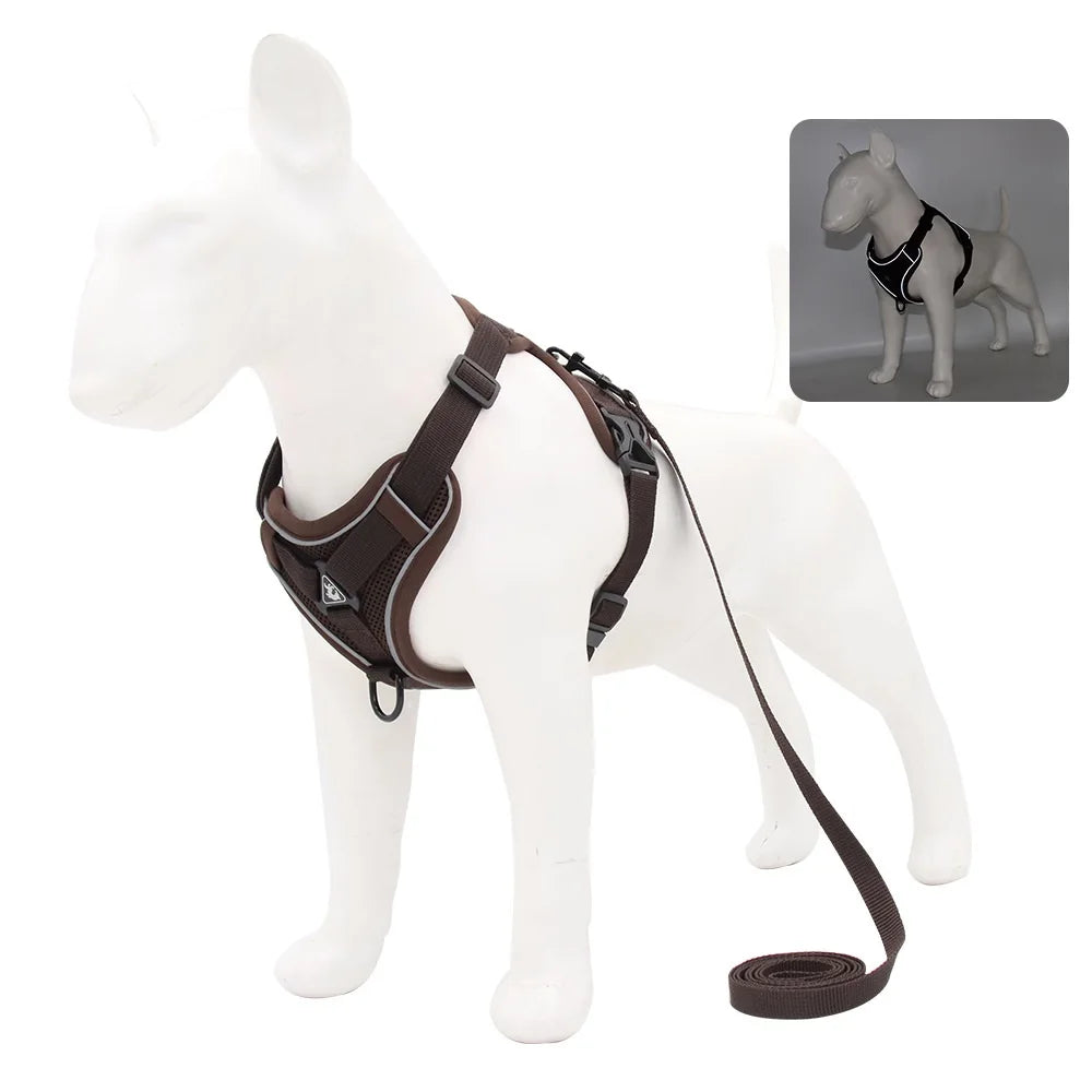 Takara™ ComfortWalk Harness & Leash Set